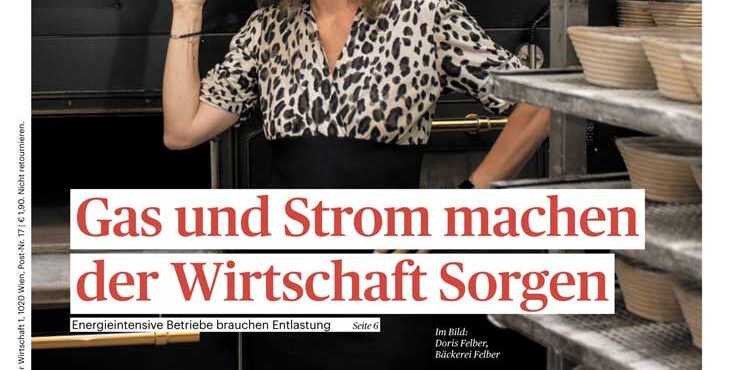 Wiener Wirtschaft Nr. 17/22